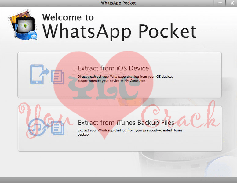 whatsapp pocket for windows crack